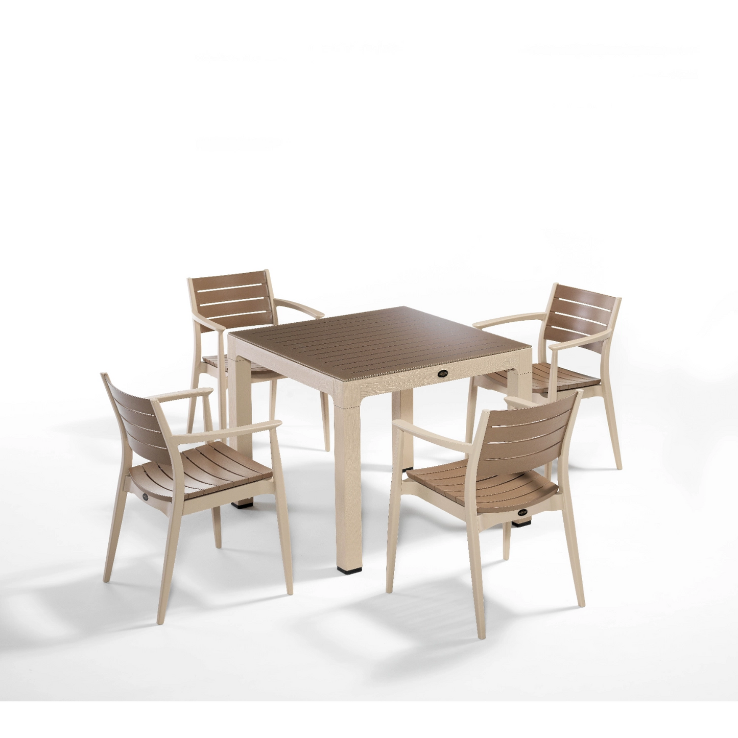 Novussi Regnum Set of 4