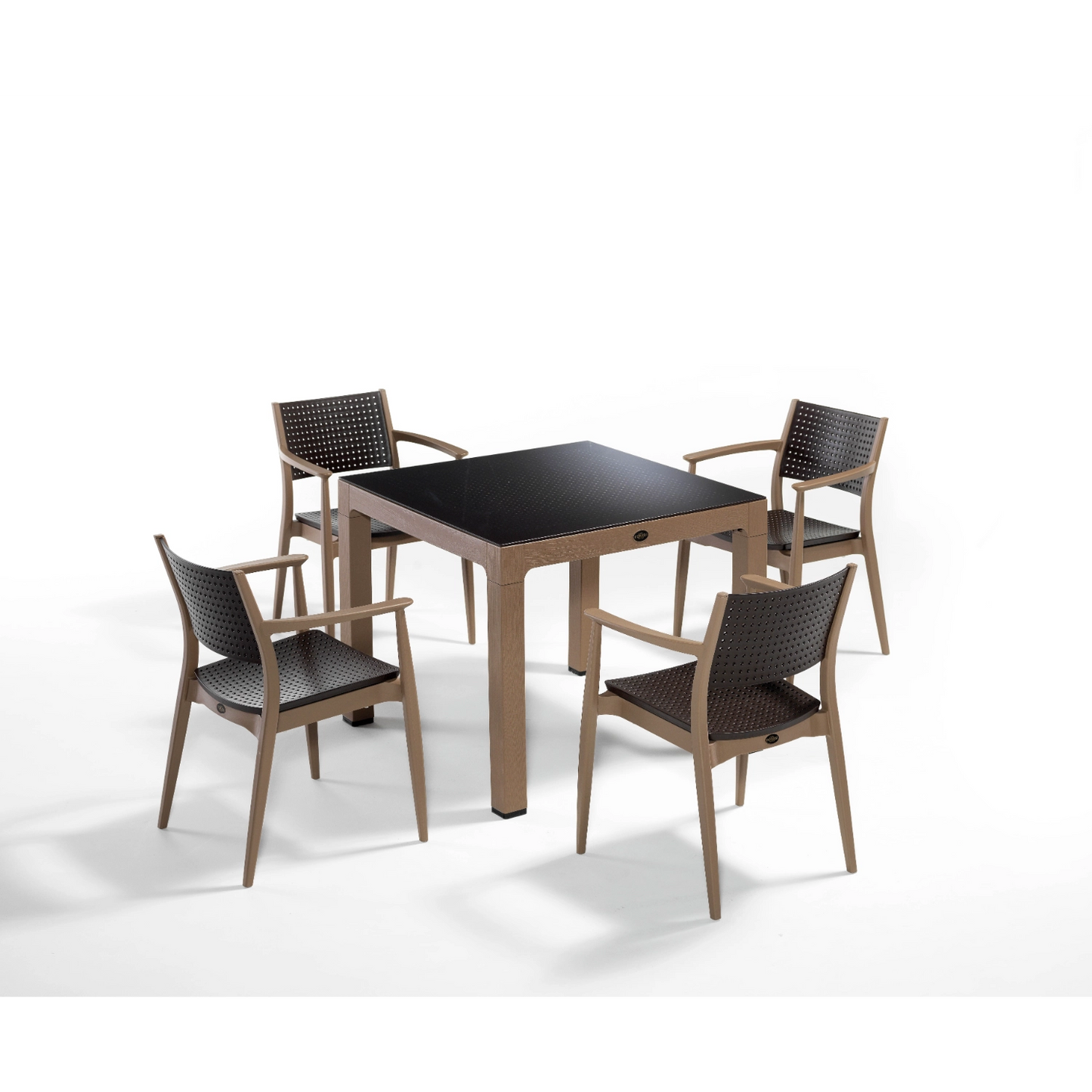 Novussi Seginus 4'lü Set