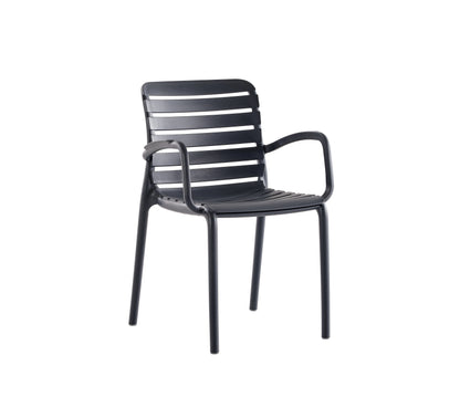 Novussi Parma Koltuk