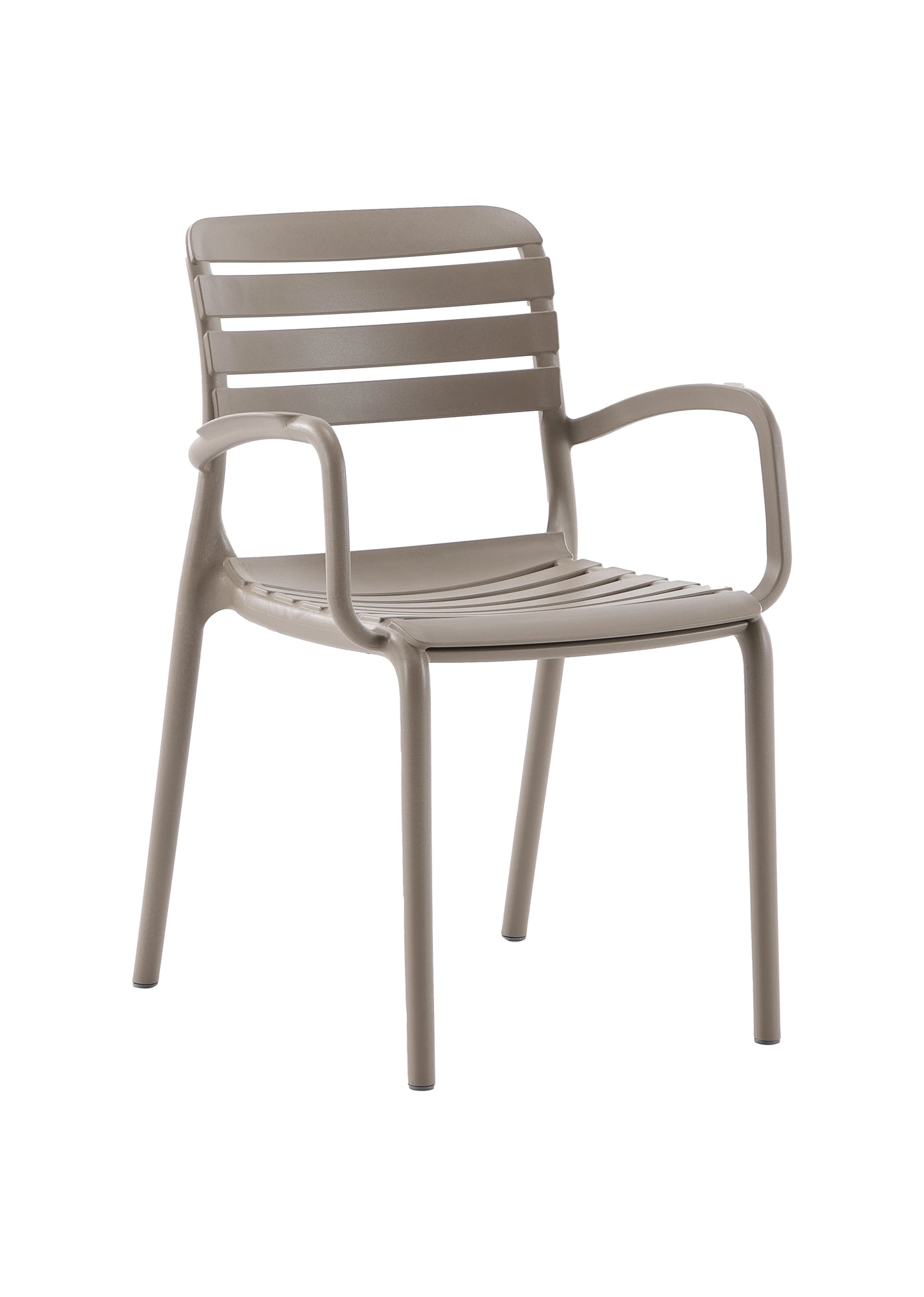 Novussi Notte Koltuk