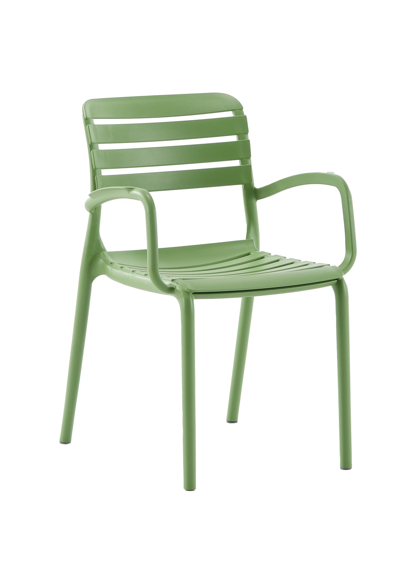 Novussi Notte Koltuk