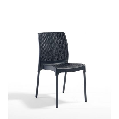 Novussi Sunny Sandalye