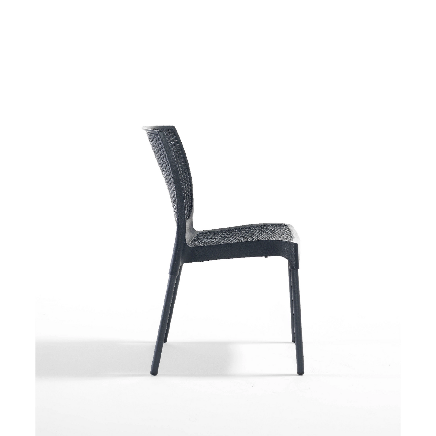 Novussi Sunny Sandalye