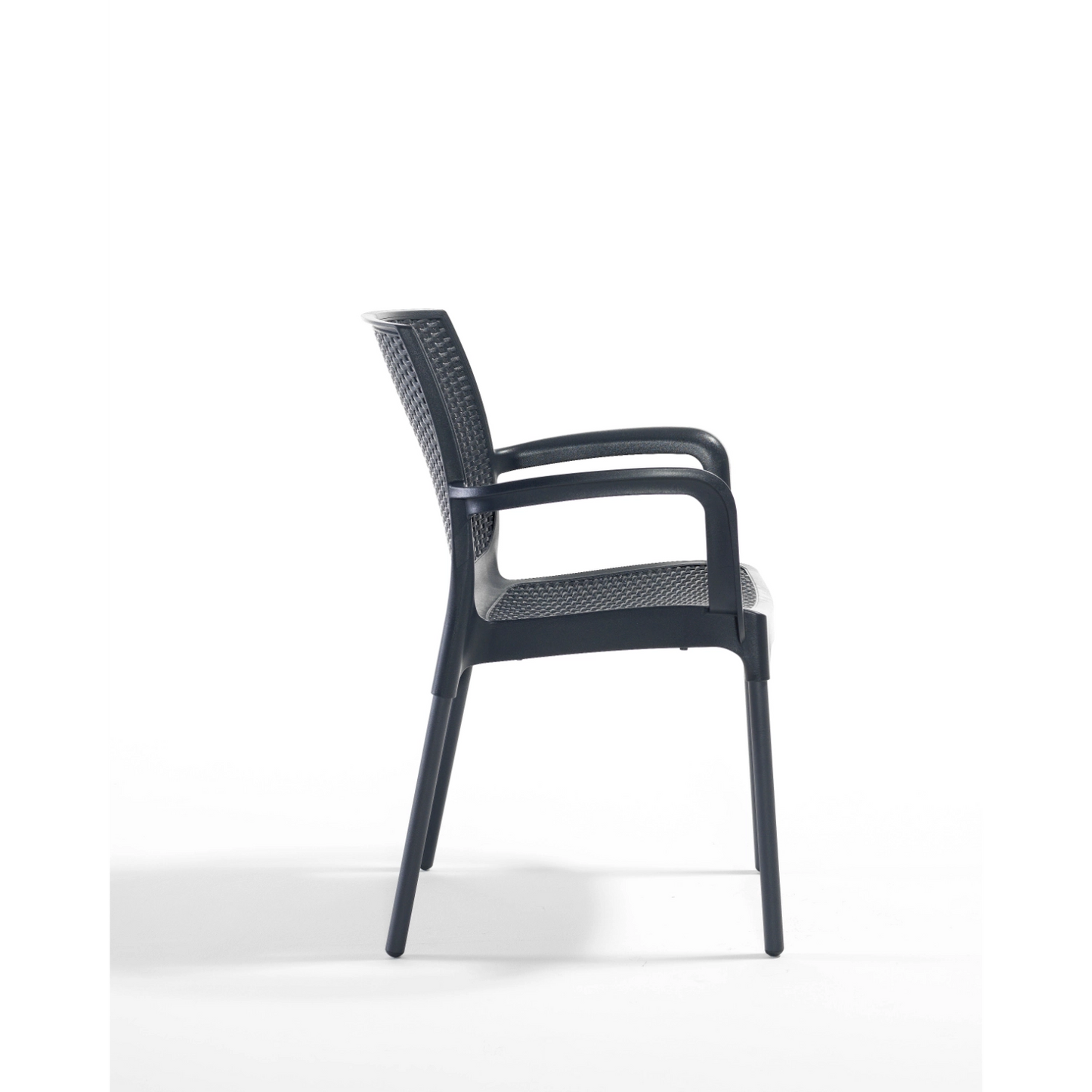 Novussi Sunset Koltuk