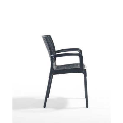 Novussi Sunset Koltuk