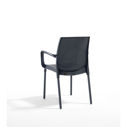 Novussi Sunset Koltuk