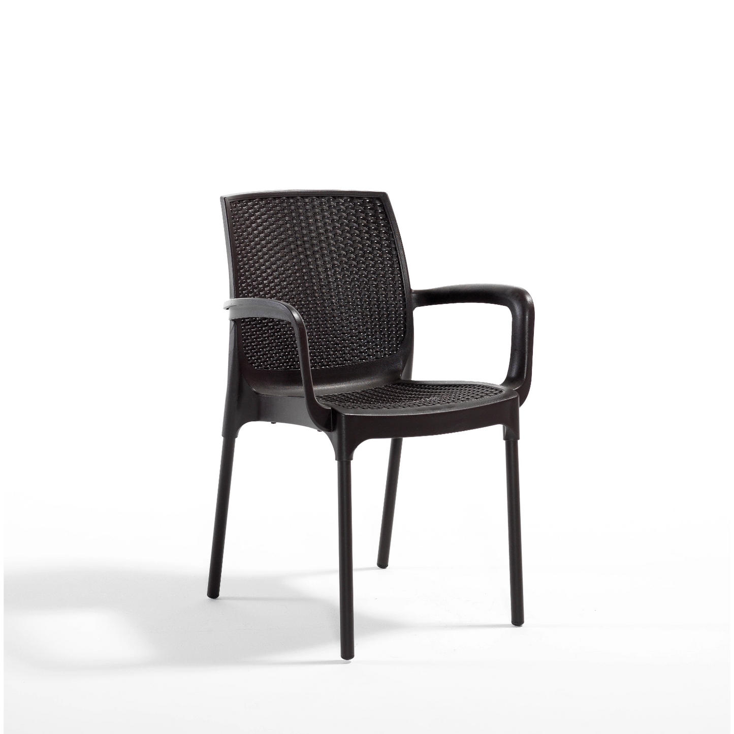 Novussi Sunset Koltuk